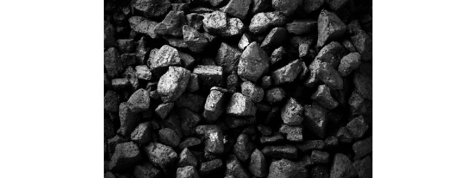 நிலக்கரி இறக்கமதி - ஜனாதிபதி ஆணைக்குழு